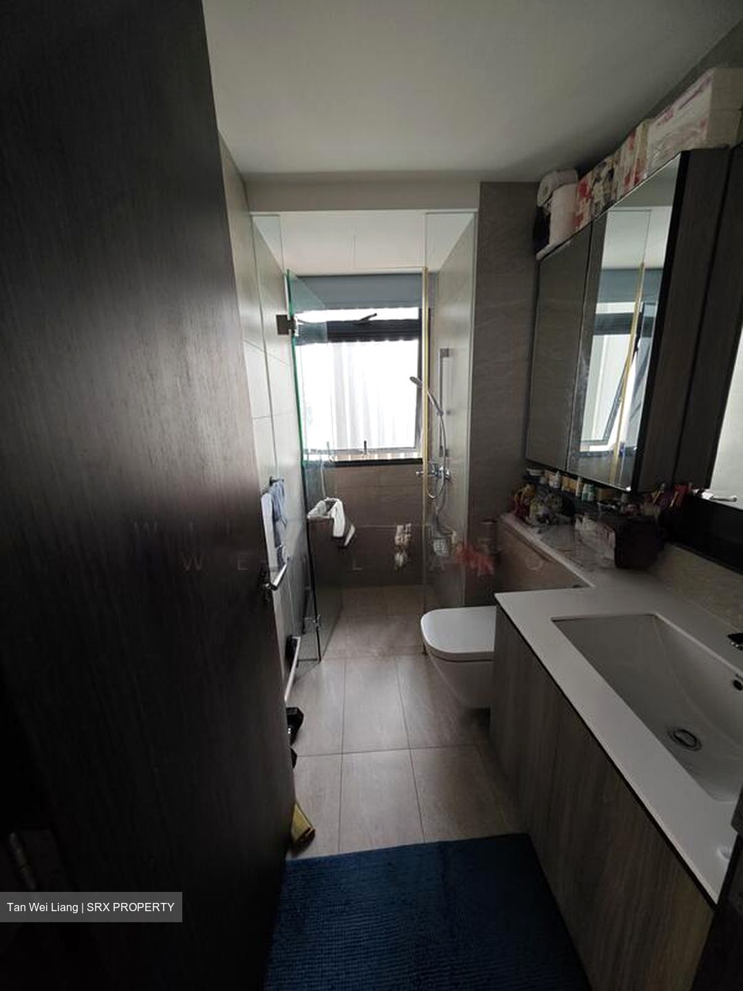 The Clement Canopy (D5), Apartment #499907911